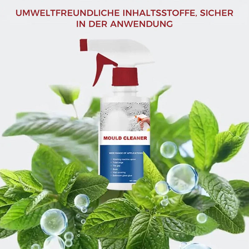 Anti-Schimmel-Reinigungsschaum | Brehn