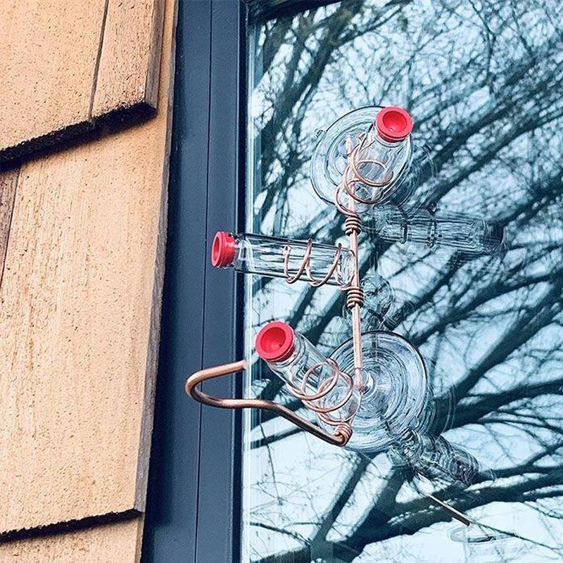 Brehn | Fensternektar - Sehen Sie die Vögel aus der Nähe - Wunder garantiert