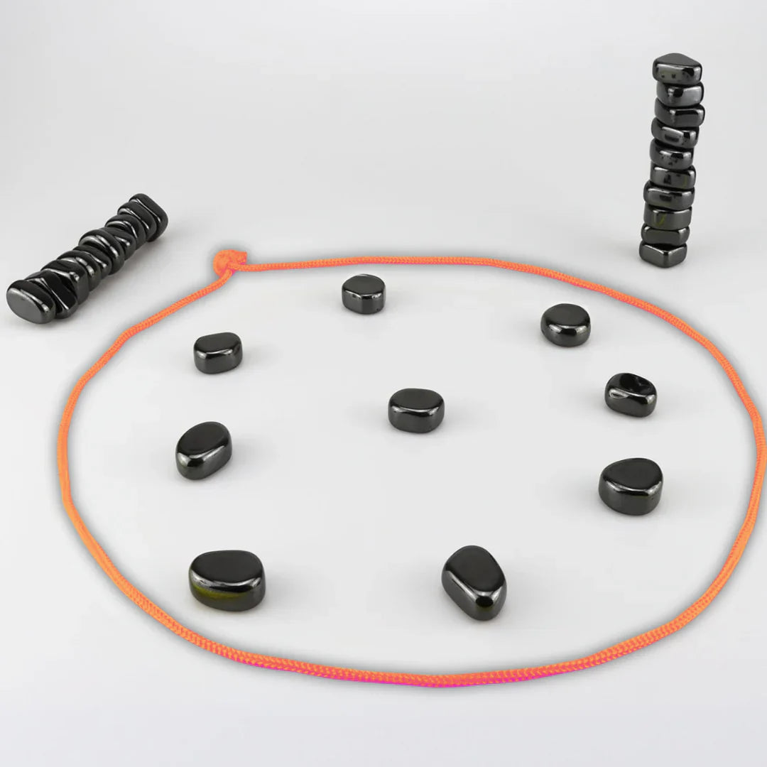Brehn | Magnet Schach Familien Spiel