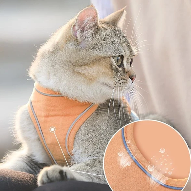 Geschirr- und Leinen-Set für Katzen | Brehn