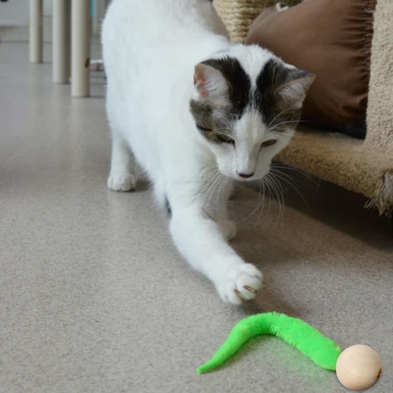 Brehn | Wiggly Katzen Spielzeug mit Glocken