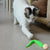 Brehn | Wiggly Katzen Spielzeug mit Glocken