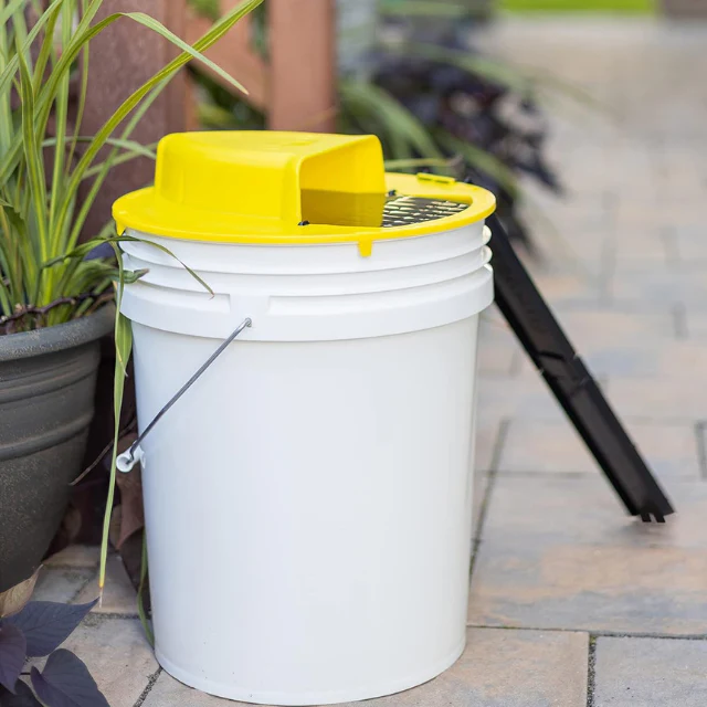 BowLift | Reusable Humane Bucket Live Humane Mouse Trap