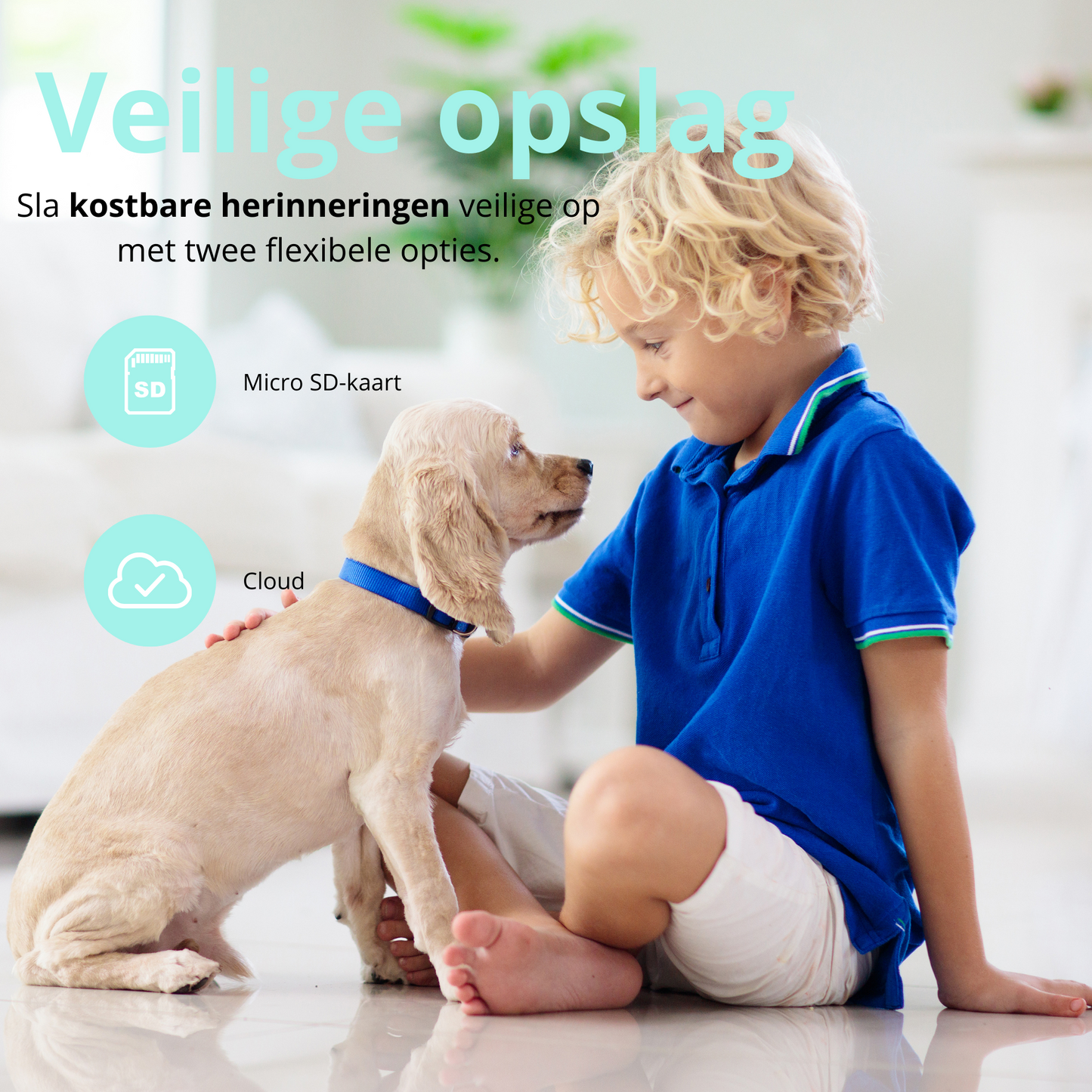 Brehn | Premiumpets Smart Kamera - Bleiben Sie mit Ihrem Haustier verbunden