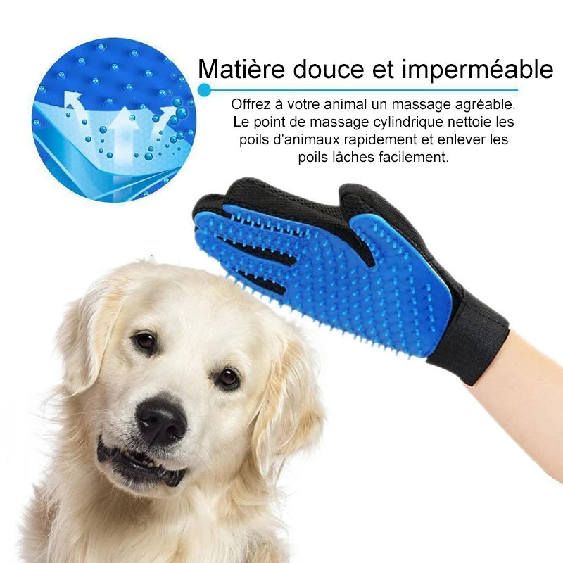 Haushund Reinigungs Handschuhe | Brehn