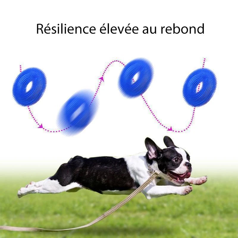Vocal Ball Spielzeug für Hunde zum Beißen | Brehn
