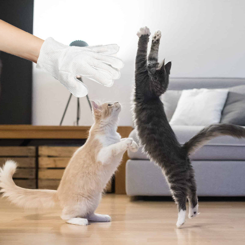 Brehn | Haustier-Handschuh-Tücher für Hunde & Katzen