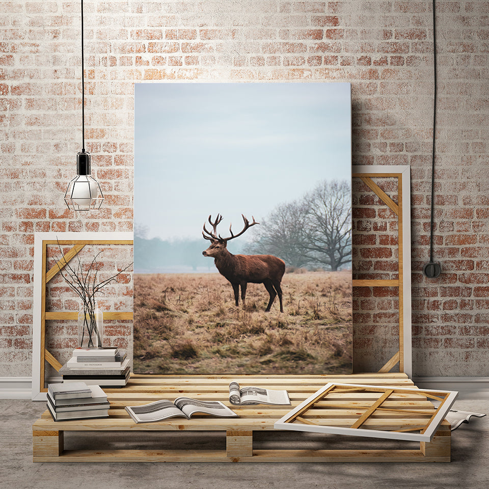 Majestätischer Hirsch in der Ebene - Leinwandbild