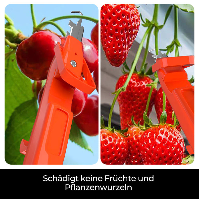 Effiziente Pfeffersammel Werkzeuge | Brehn