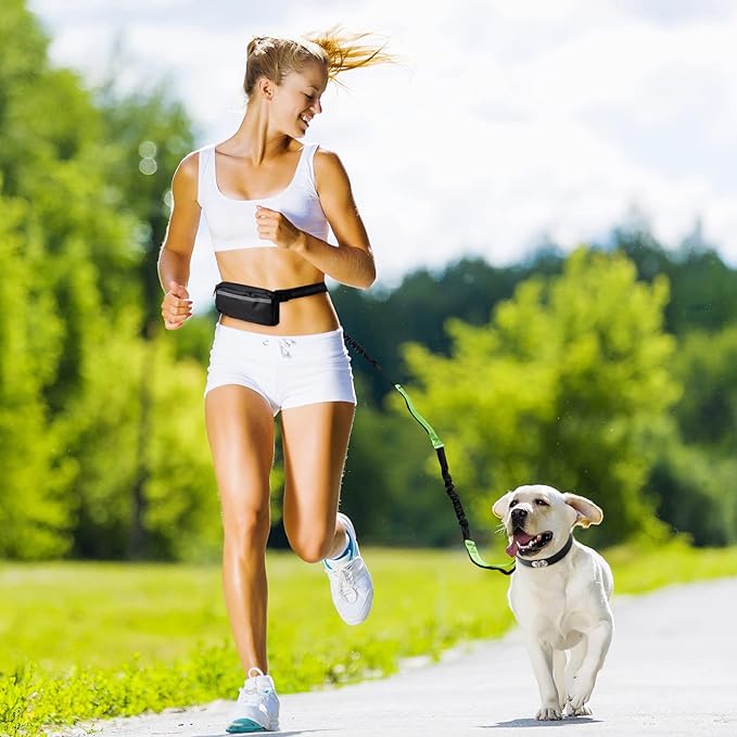 FlowLeash — Erleben Sie sanfte Kontrolle und entspannte Gassirunden ohne Rucke! | Brehn