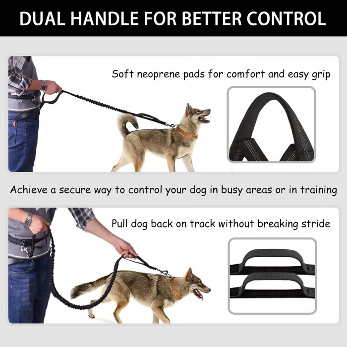 FlowLeash — Erleben Sie sanfte Kontrolle und entspannte Gassirunden ohne Rucke! | Brehn