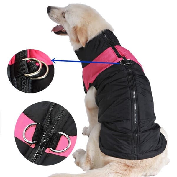 XXL Dog Vest Outdoor S-7XL | Warmer, Waterproof Dog Coat with Integrated Leash Attachment