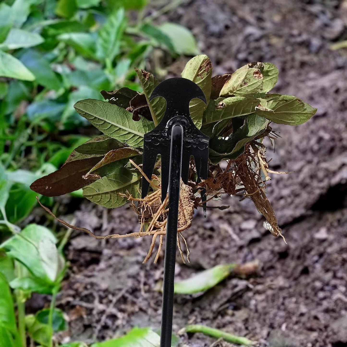 Brehn | Garten Unkrautziehwerkzeug