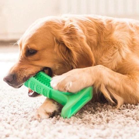 Brehn | Worlds effektivste Zahnbürste für Hunde