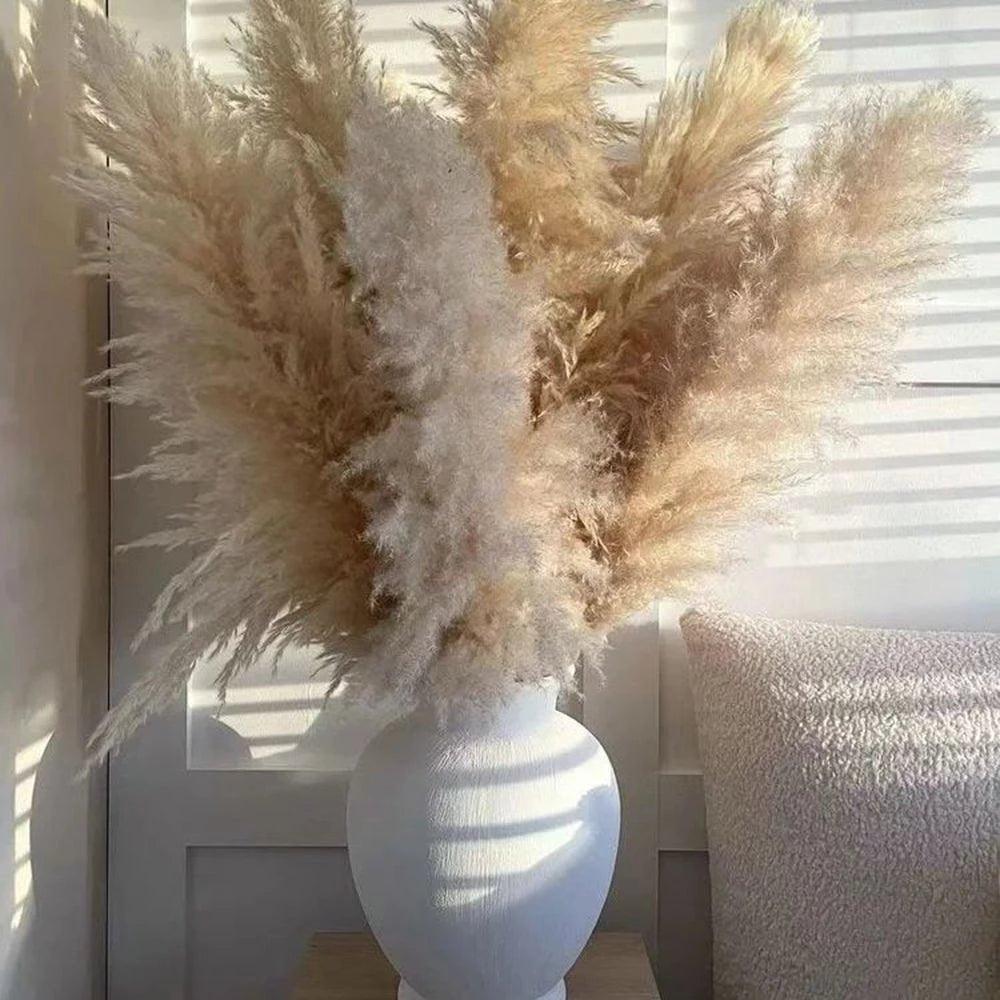 80 cm natürlicher, echter getrockneter Pampasgrasstrauß (weiß / beige / grau) │ flauschige Feder für moderne Boho-Heimdekoration