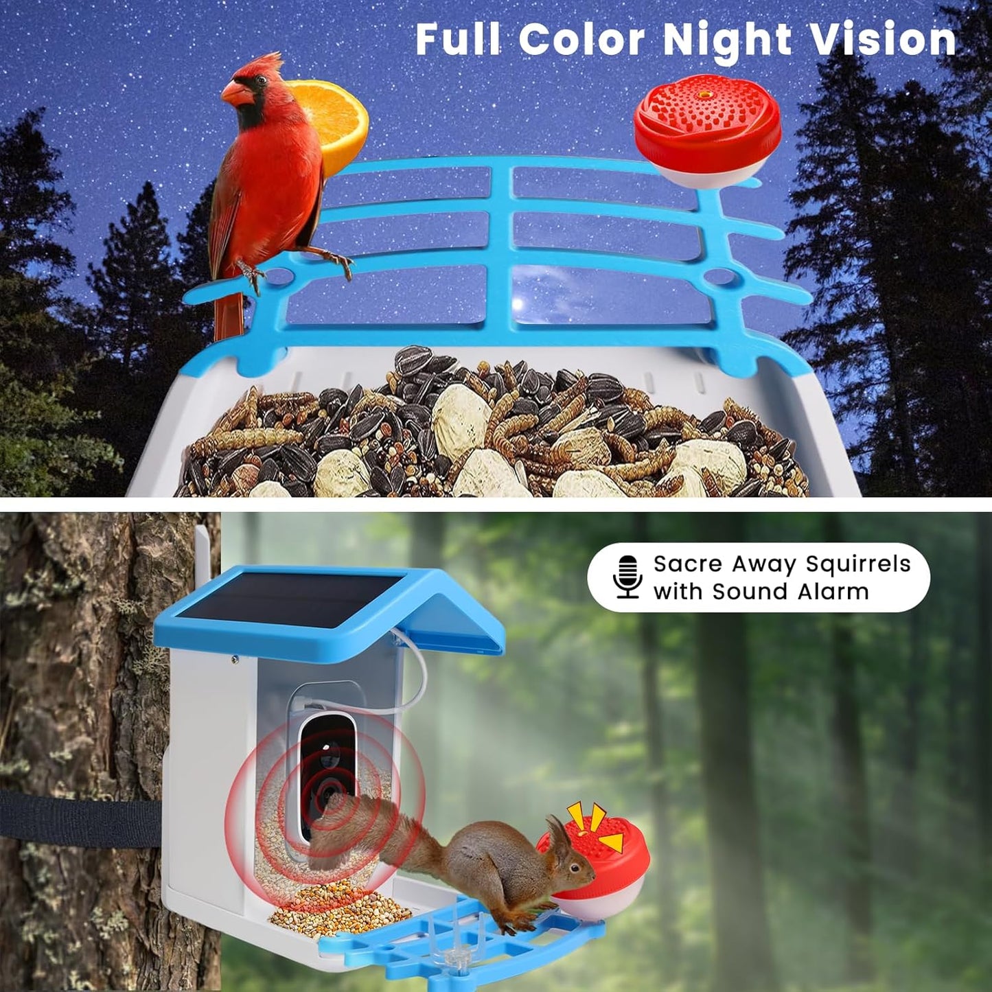 Smart Bird Feeder mit Solar-Kamera – KI-Vogel-Erkennung & Nachtsicht | Brehn