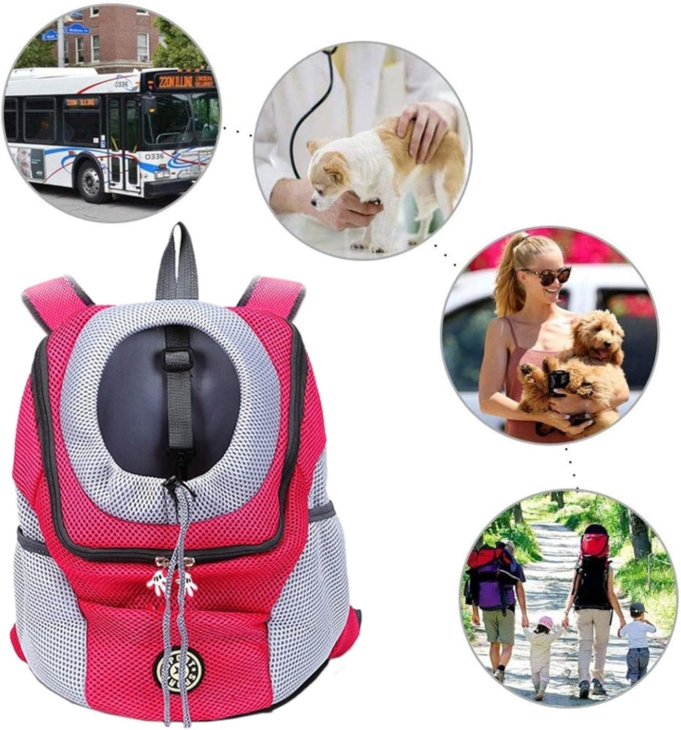 Brehn | PawCarry – Gemeinsam überall unterwegs