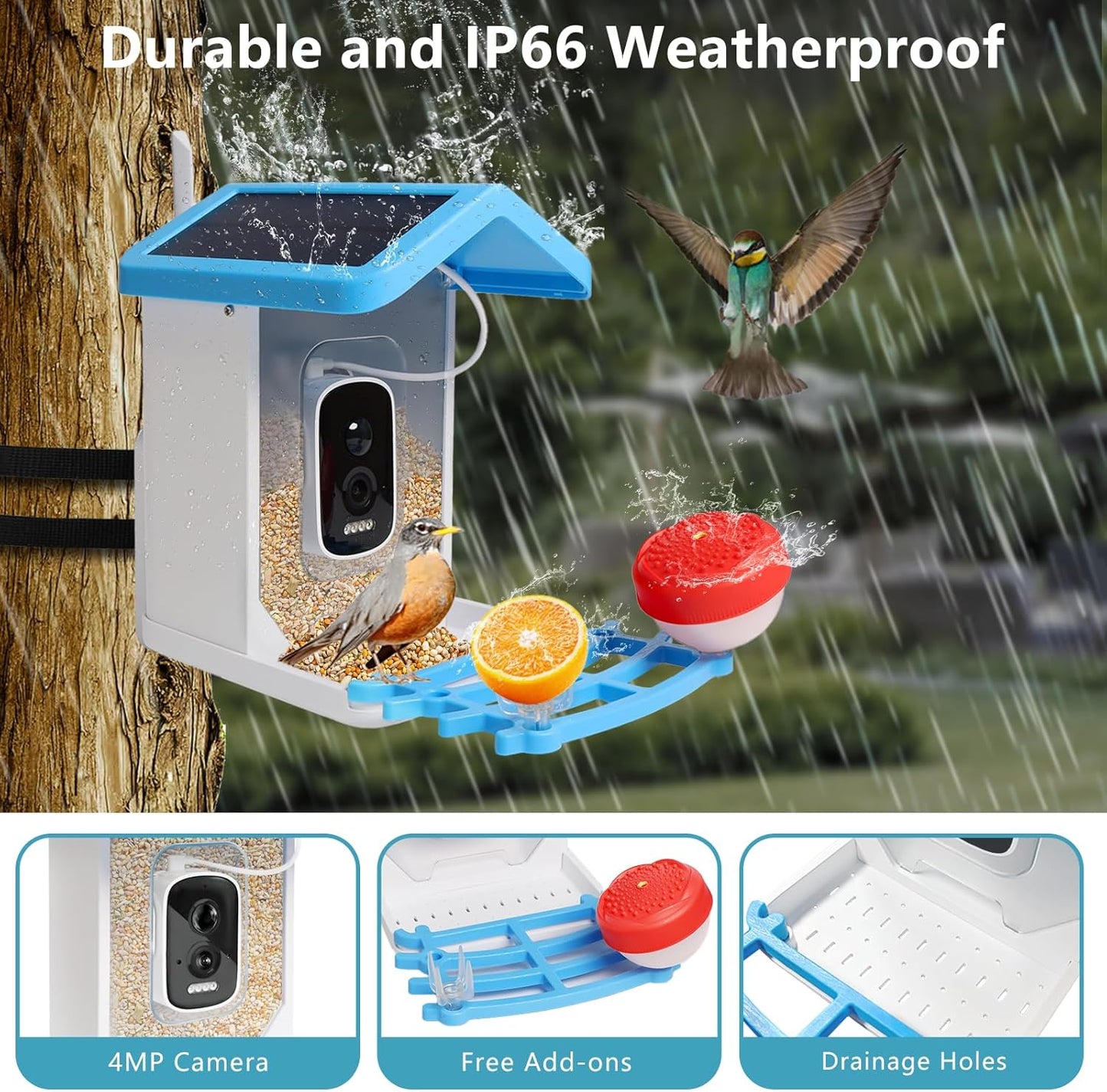 Smart Bird Feeder mit Solar-Kamera – KI-Vogelerkennung & Nachtsicht | Brehn