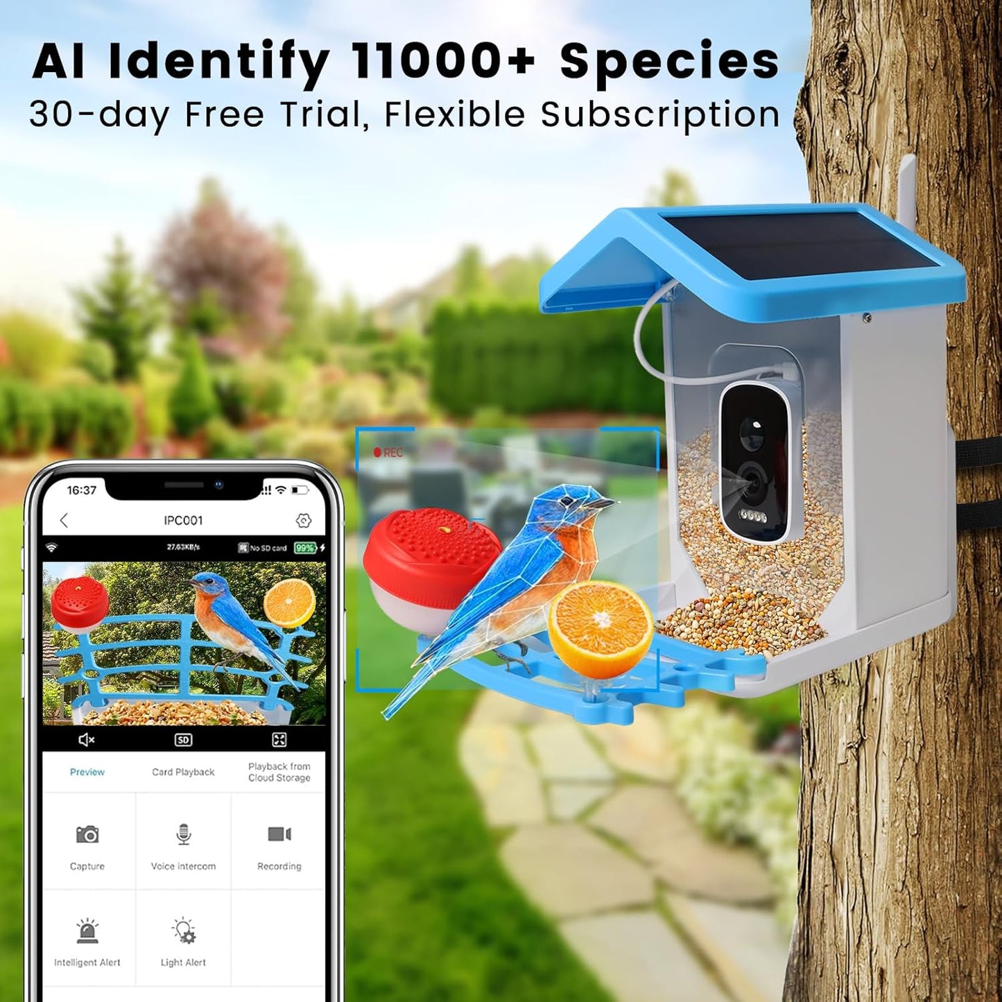 Smart Bird Feeder mit Solar-Kamera – KI-Vogel-Erkennung & Nachtsicht | Brehn