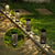 12X Solarleuchten LED Wegeleuchten Gartenbeleuchtung | Brehn