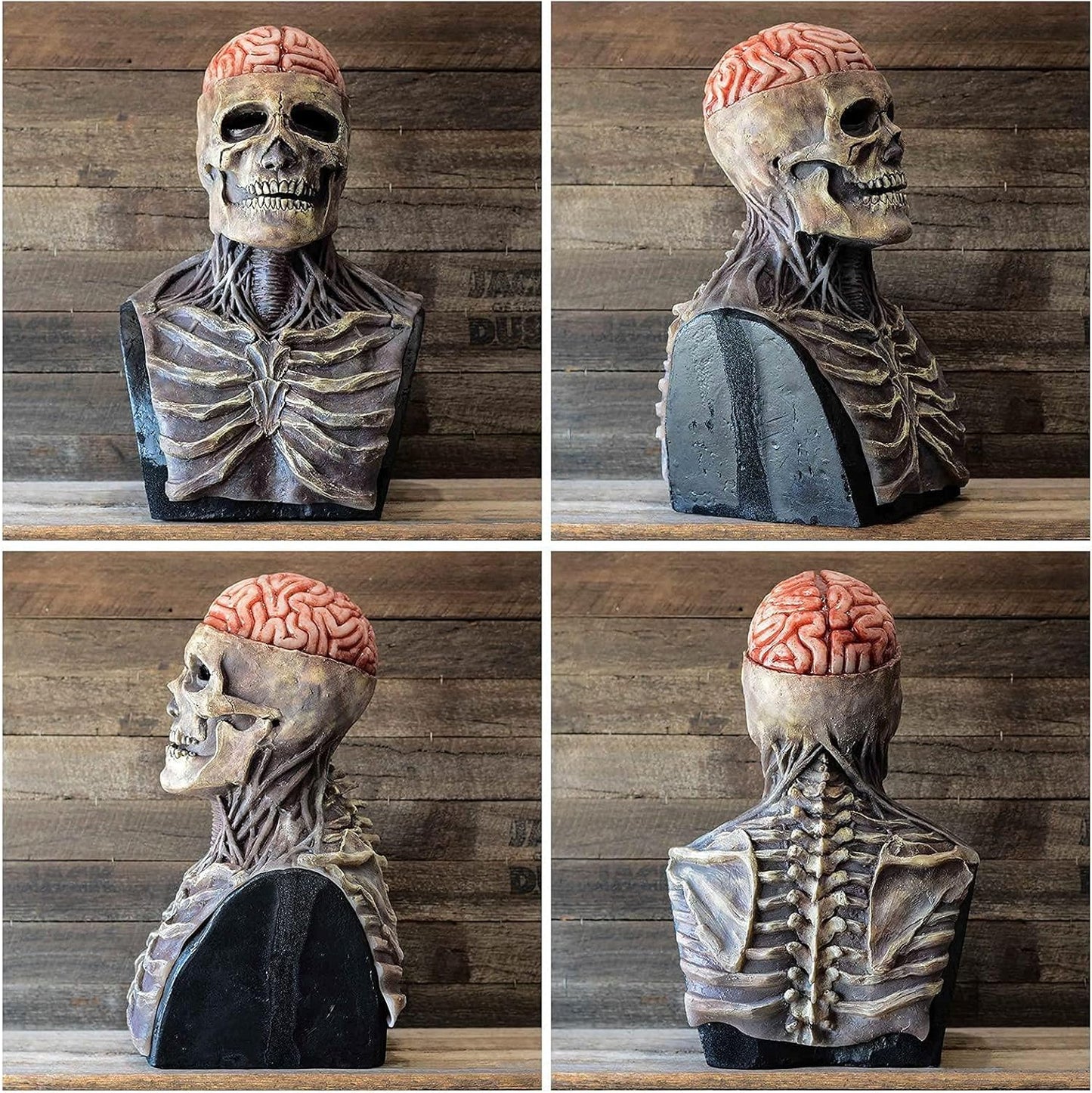 Halloween-Totenkopfmaske mit Gehirndetails