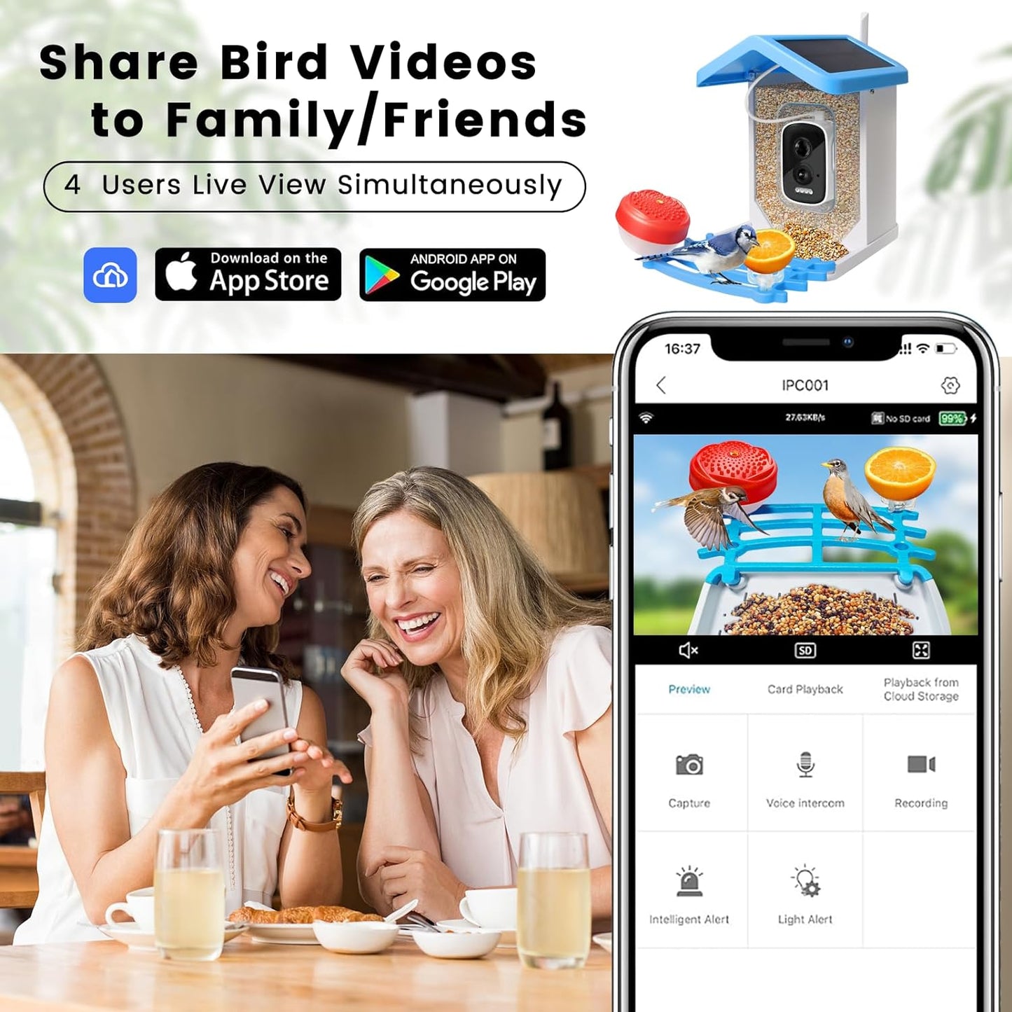 Smart Bird Feeder mit Solar-Kamera – KI-Vogelerkennung & Nachtsicht | Brehn