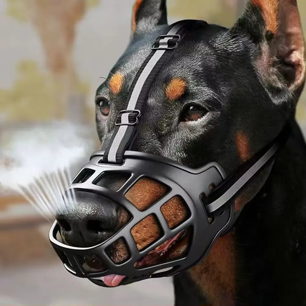 GuardPaw — Endlich sorgenfrei und sicher jede Gassi-Runde genießen | Brehn
