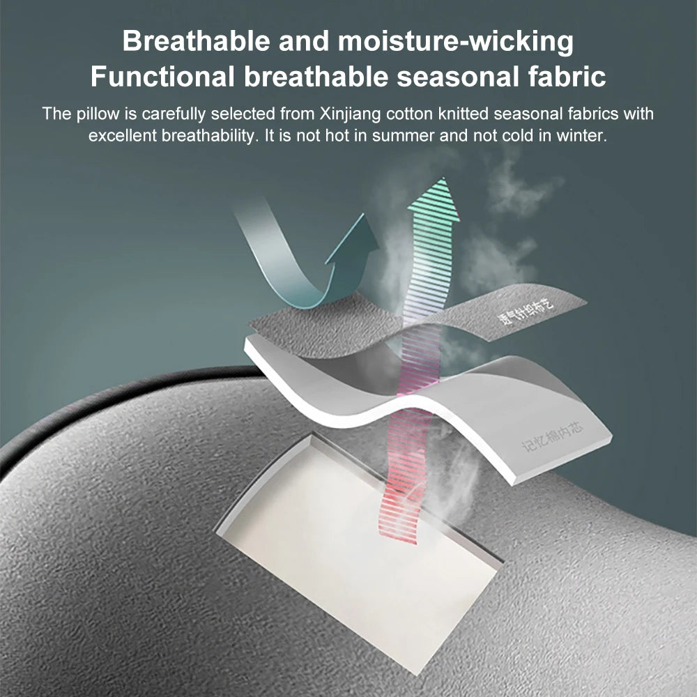 CarPillow | Nacken- und Lendenwirbel-Autokissen | Brehn