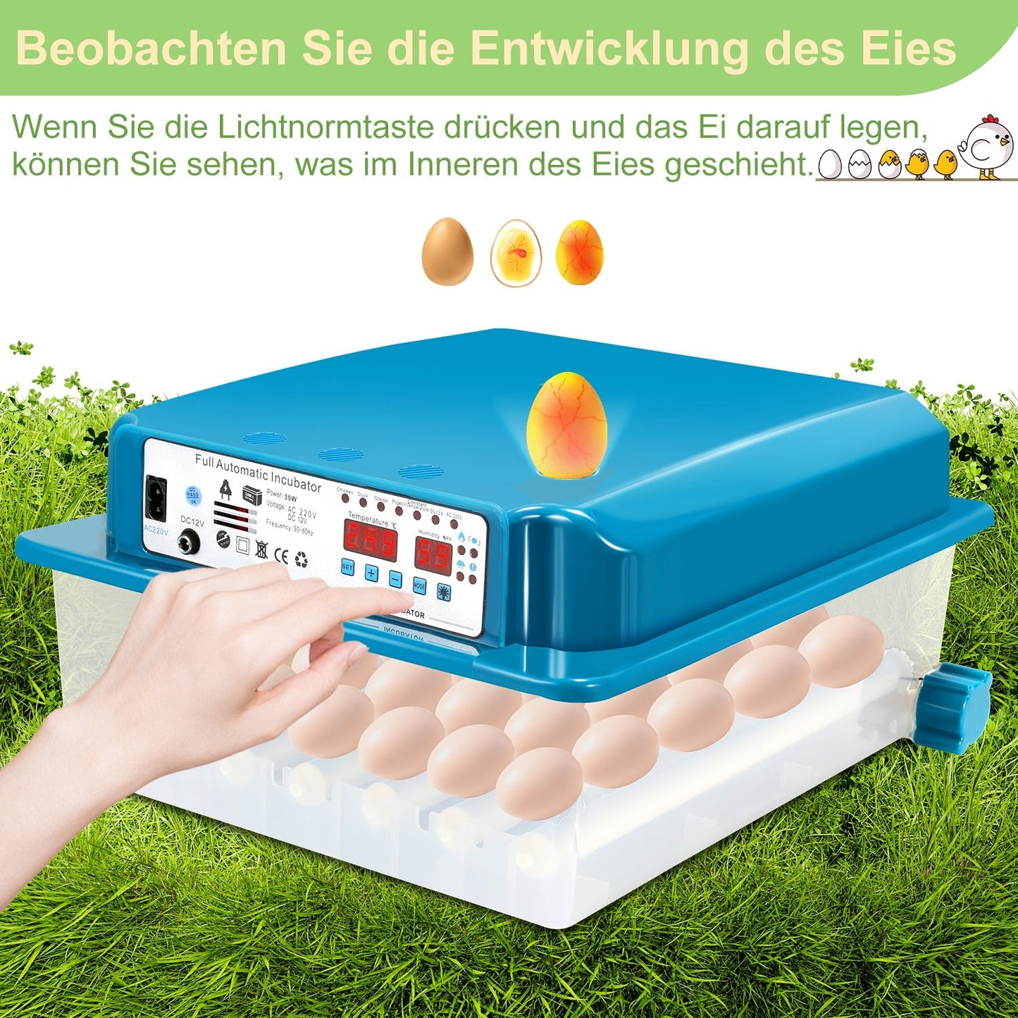 Brutautomat Vollautomatisch Inkubator für Hühner 36 Eier | Brehn