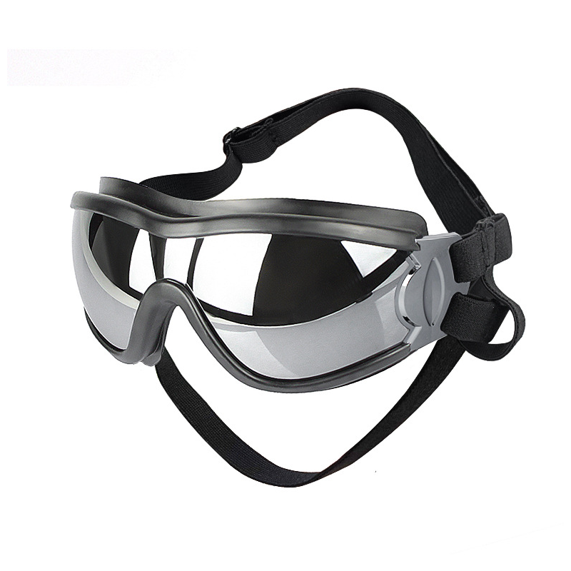 Outdoor-Schutzbrille für Hunde
