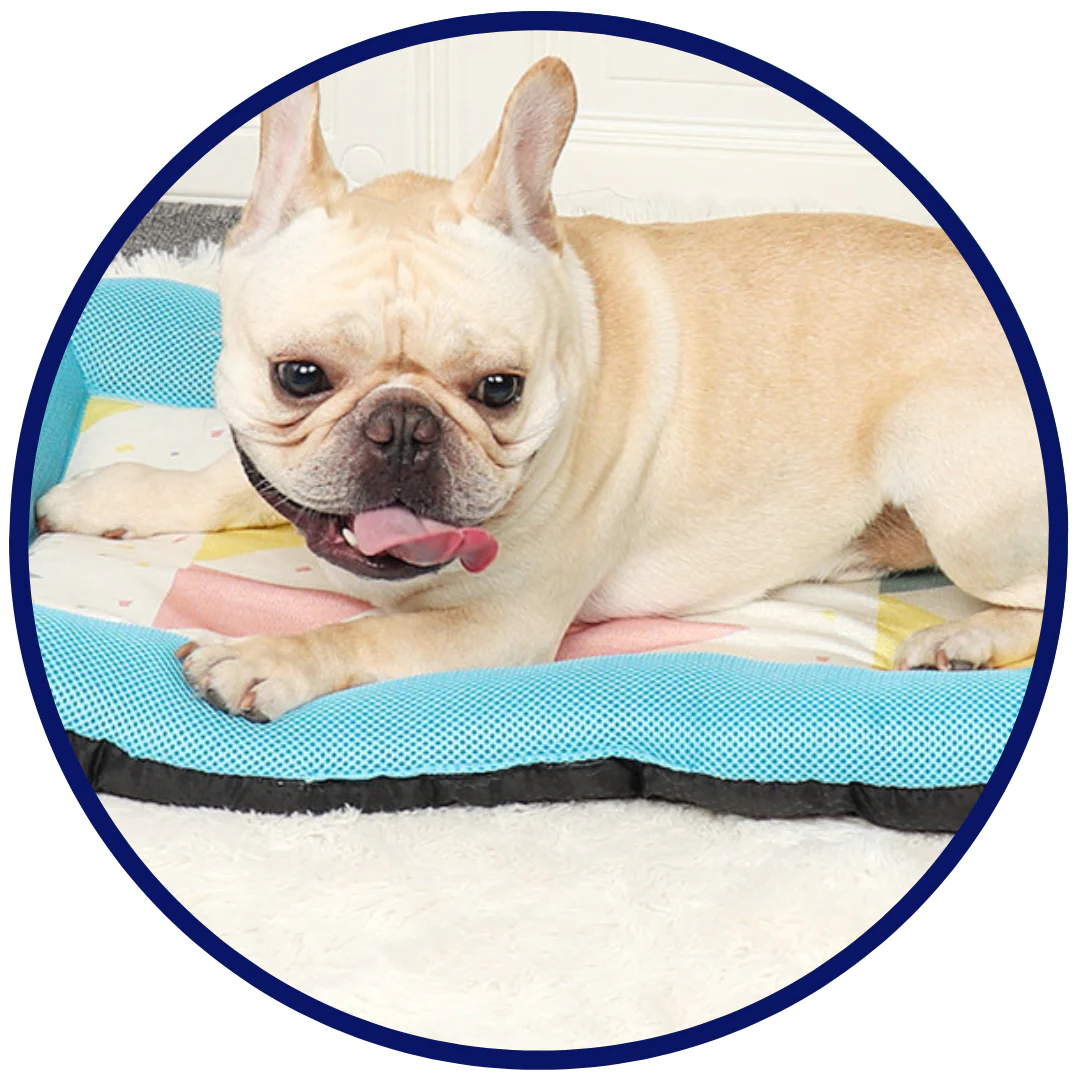 Pet Silk Cooling Mat | Brehn