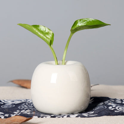Künstlerischer Keramik-Apfel-förmiger Blumentopf Brehn