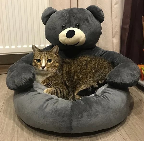 Brehn | CozyPaws Ultimativer Haustierkomfort