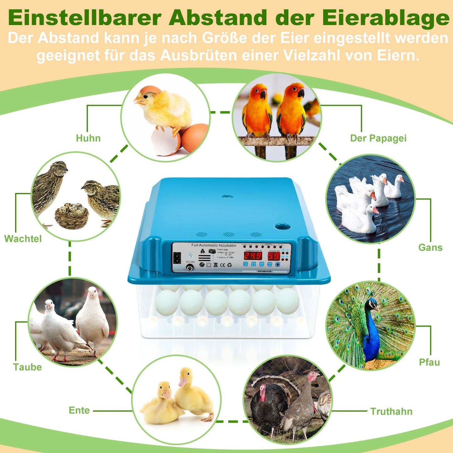 Brutautomat Vollautomatisch Inkubator für Hühner 36 Eier | Brehn