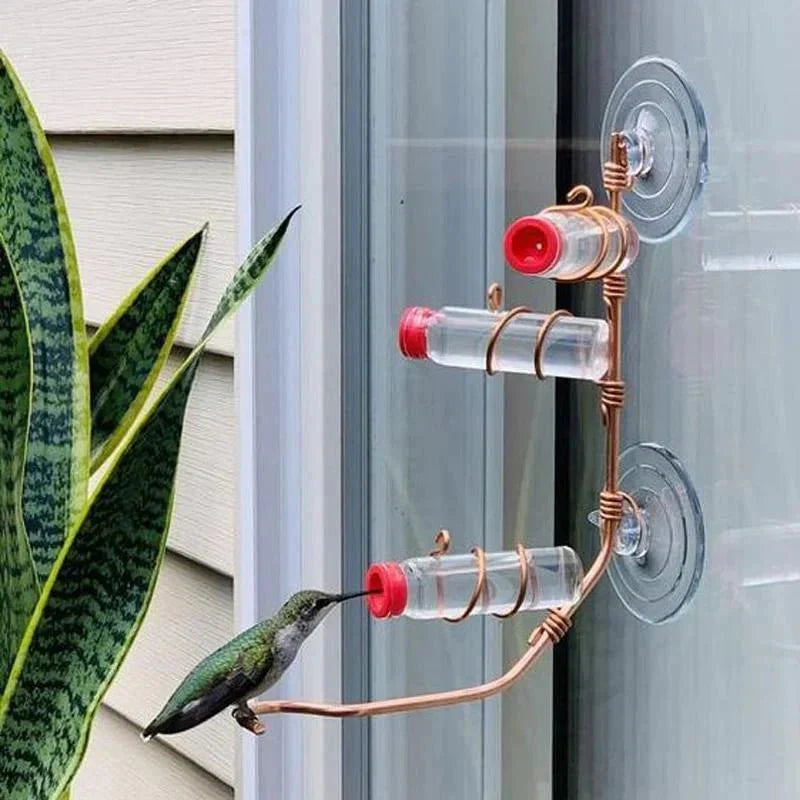Brehn | Fensternektar - Sehen Sie die Vögel aus der Nähe - Wunder garantiert