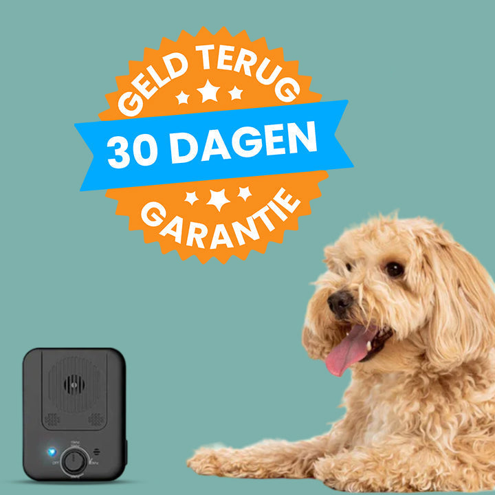Brehn | CanineElegance Schmerzfreies Anti-Bell-Gerät | Effektives Bellen-Präventionssystem für eine harmonische Umgebung