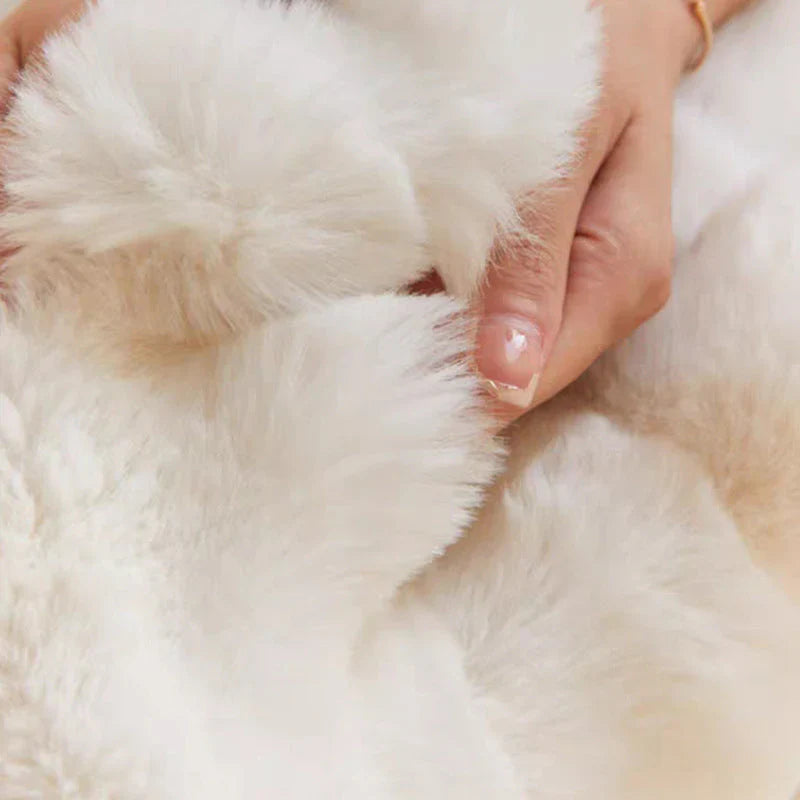 Brehn | Luxus Weiche Fell Decke - SnuggleFur