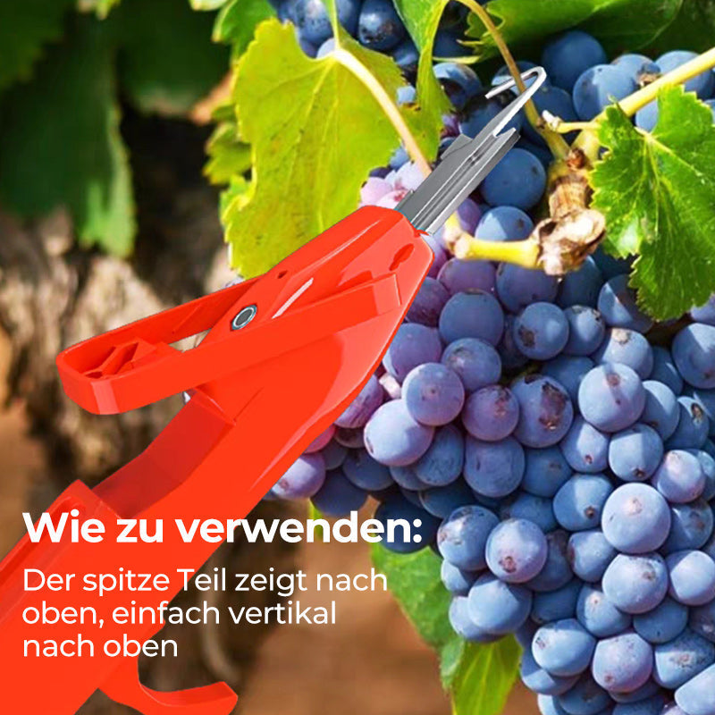 Effiziente Pfeffersammel Werkzeuge | Brehn
