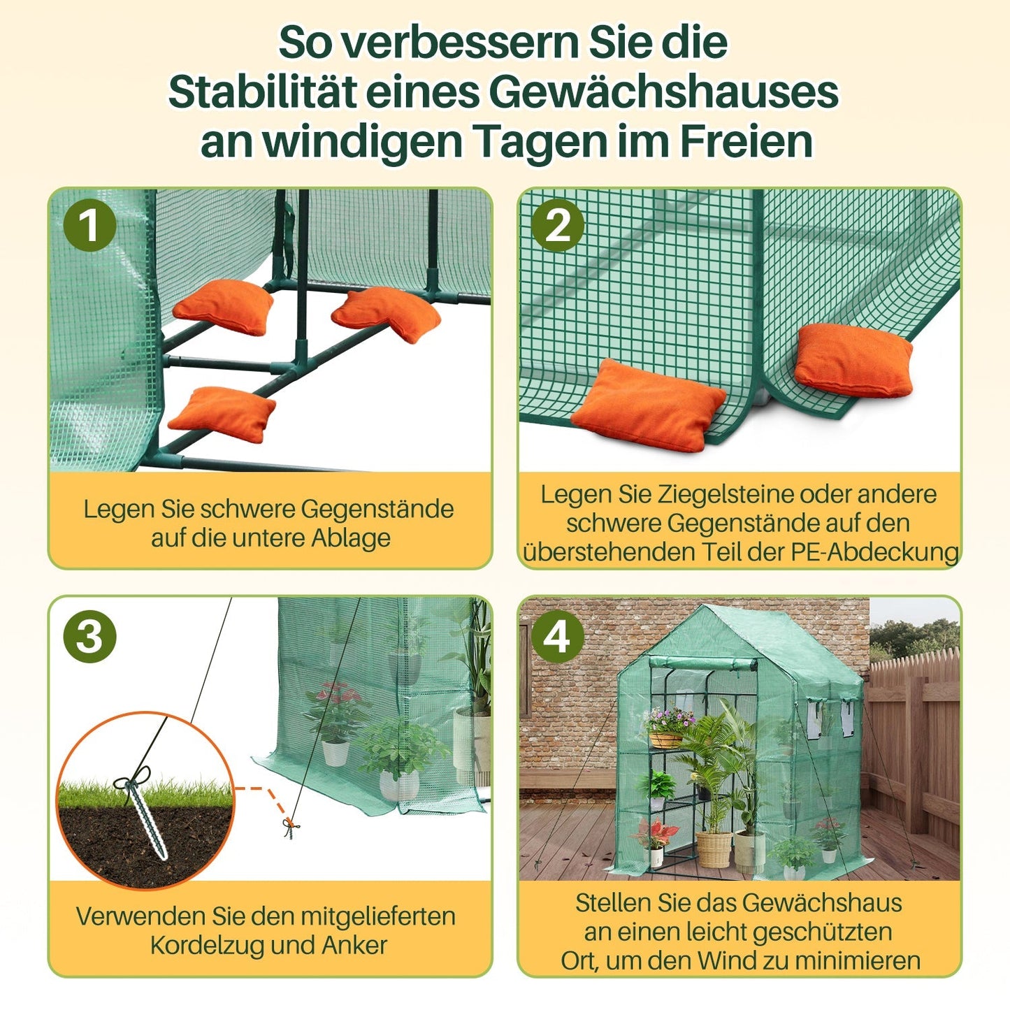 Gewächshaus Foliengewächshaus mit Regalen | Brehn
