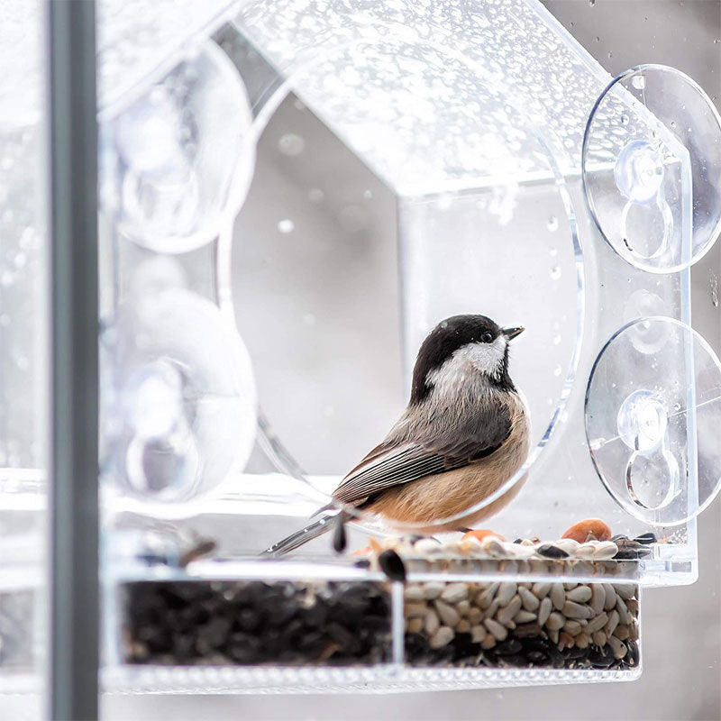 Smart Bird Feeder mit Live-Kamera | Brehn
