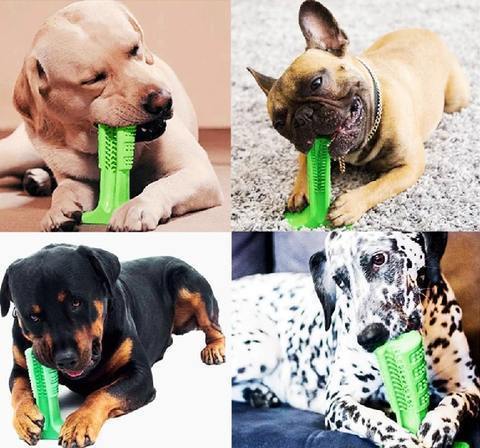 Brehn | Worlds effektivste Zahnbürste für Hunde