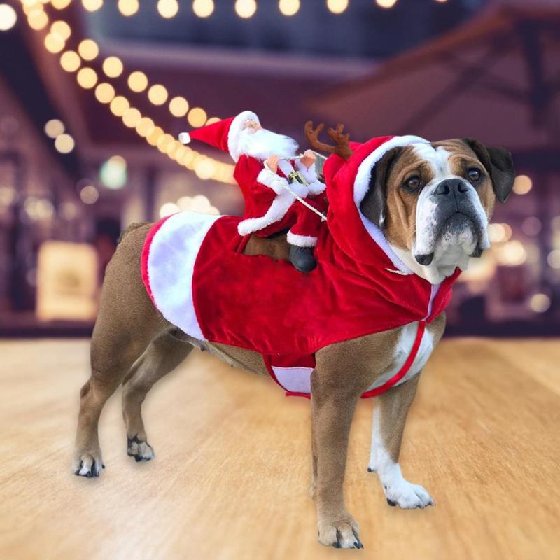 Brehn | Santa Reiter Outfit