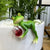 Tipsy Frog Topfpflanzer | Brehn