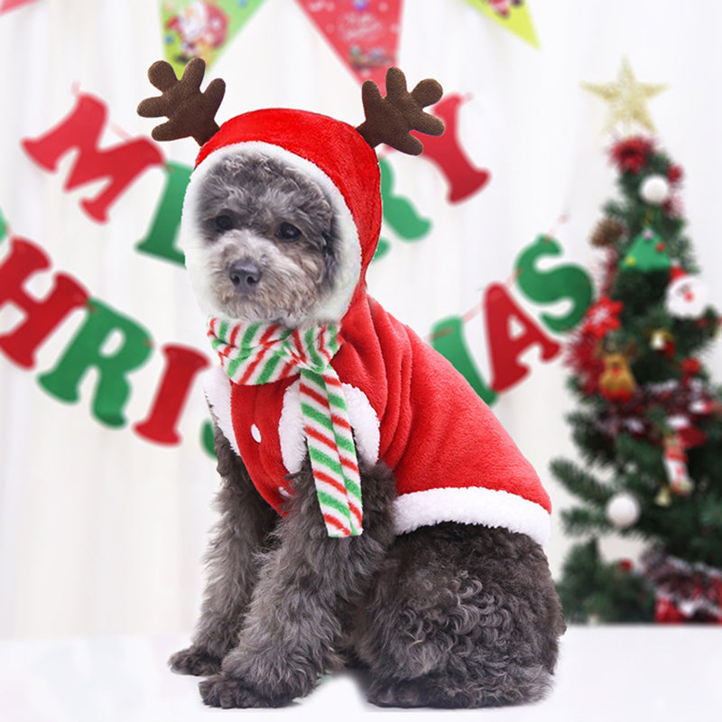 Brehn | Weihnachtsmann Zuhause Winter Haustier Kostüme