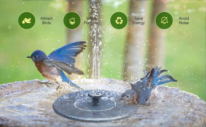 SolarSprudelX — Mach deinen Garten zur atemberaubenden Natur-Oase voller Leben und Magie! | Brehn