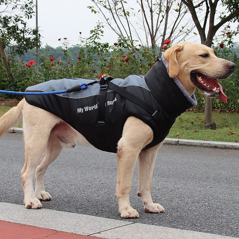 Brehn | Wasserdichte Winterhundejacken
