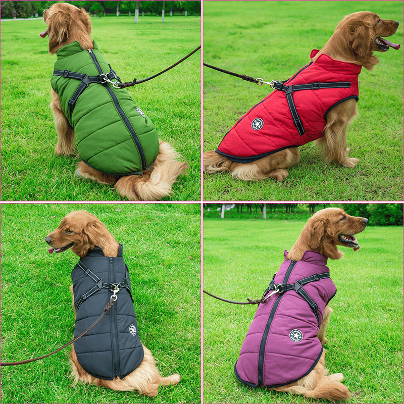 Winter Hundejacke mit Geschirr | Brehn