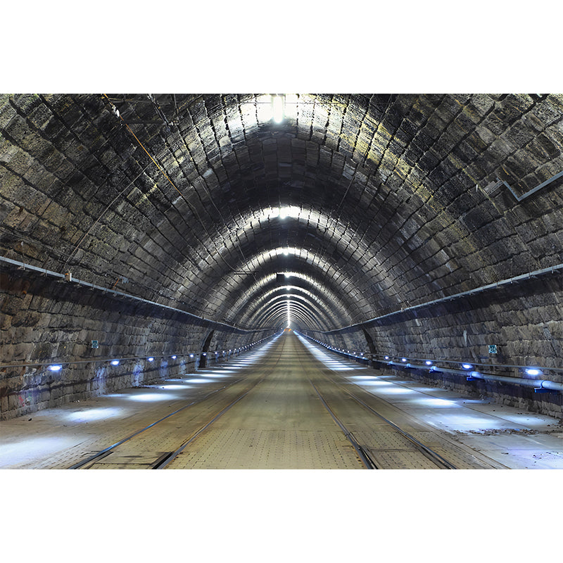 Brehn | Decoratieve Ondergrondse Tunnel Muurdecoratie Non-Woven Materiaal Wandbekleding voor Vergaderruimte