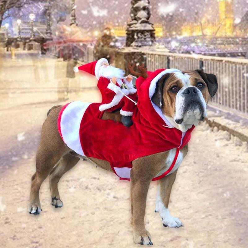 Brehn | Santa Reiter Outfit