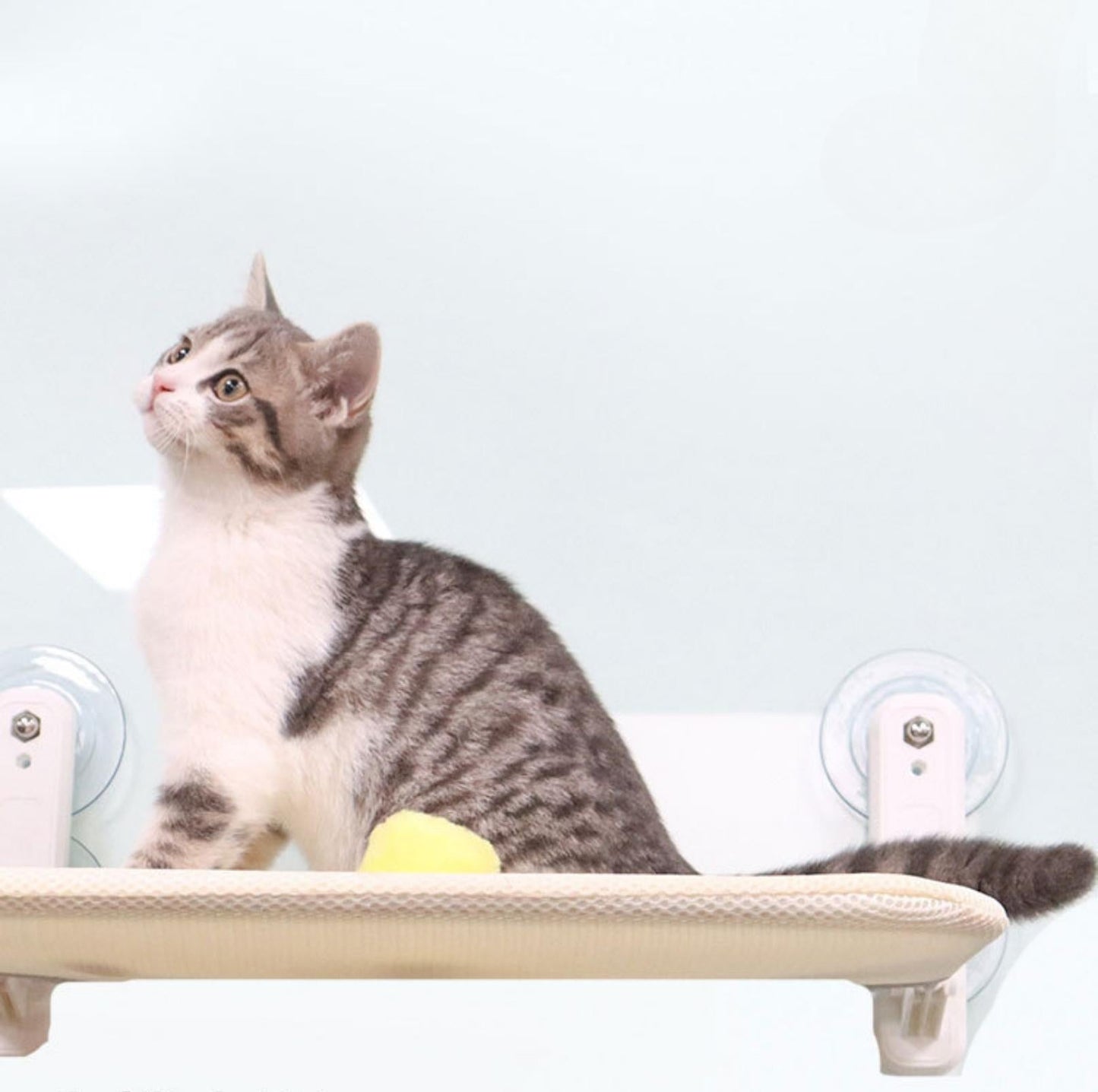 Gemütliche Katze Fenster Hängematte | Brehn